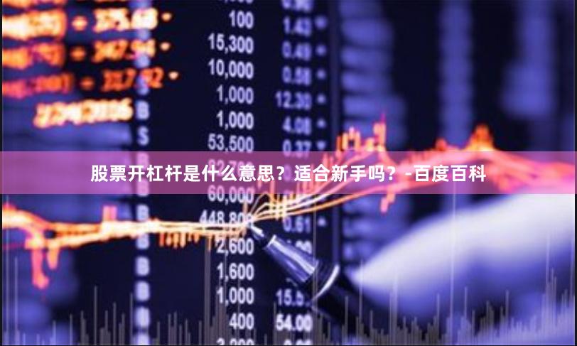 股票开杠杆是什么意思？适合新手吗？-百度百科