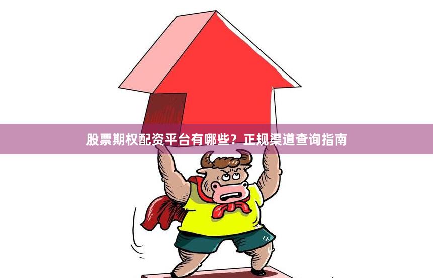 股票期权配资平台有哪些？正规渠道查询指南