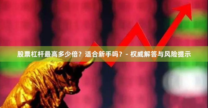 股票杠杆最高多少倍？适合新手吗？- 权威解答与风险提示