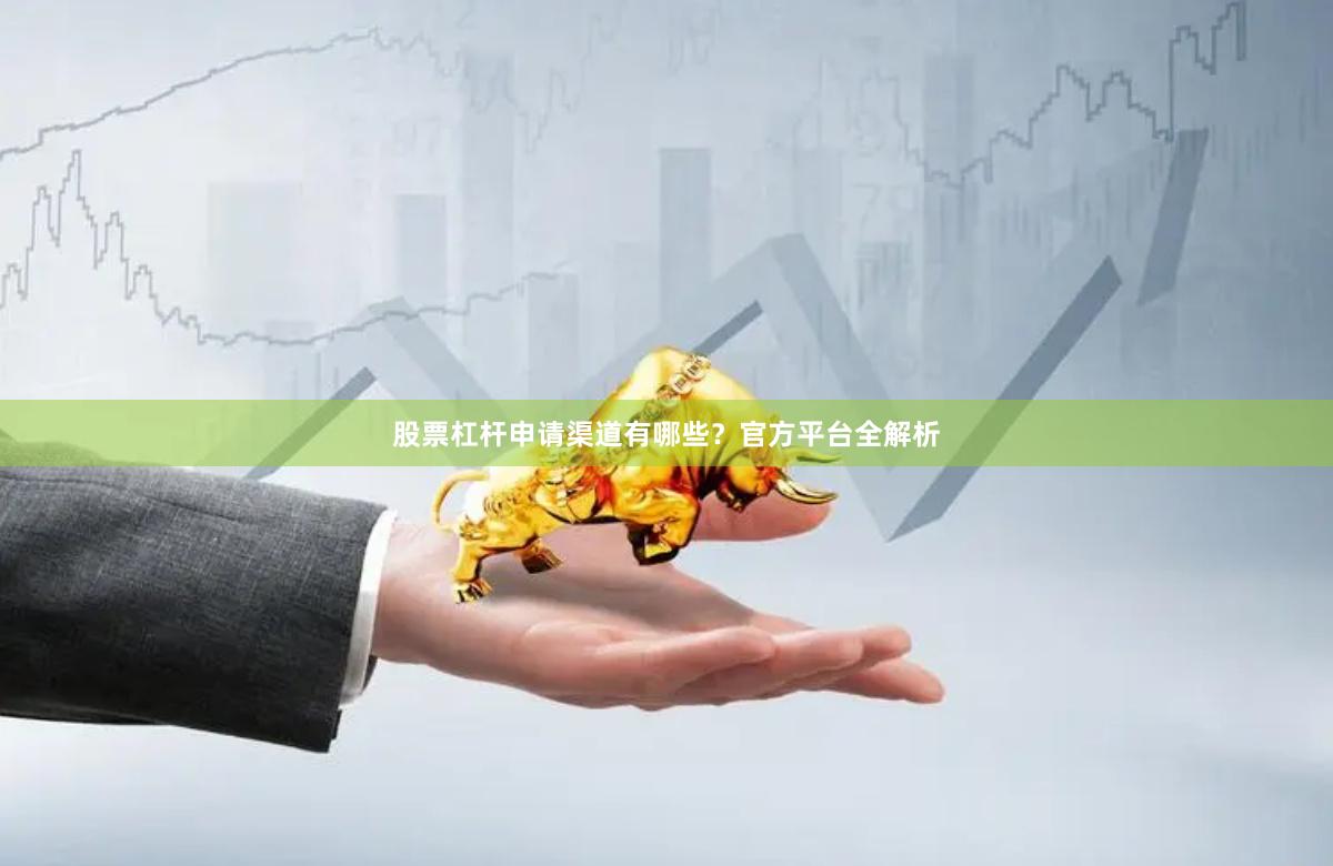 股票杠杆申请渠道有哪些？官方平台全解析