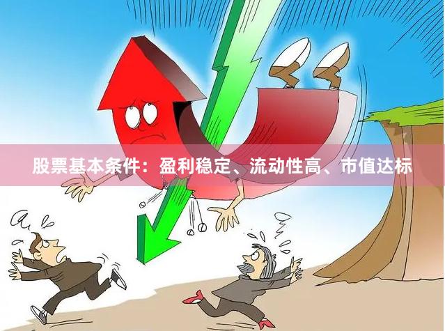 股票基本条件：盈利稳定、流动性高、市值达标